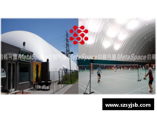 北京体育文化公司助力体育产业发展