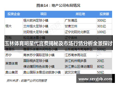 玉林体育明星代言费揭秘及市场行情分析全景探讨