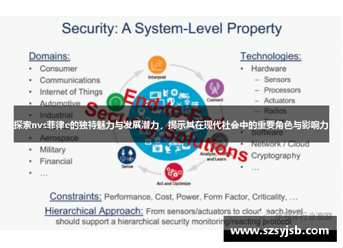 探索nvs菲律e的独特魅力与发展潜力，揭示其在现代社会中的重要角色与影响力